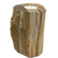  Pamperandpost Petrified Wood Candle Holder - Single Tall Petrified Wood Candle Holder