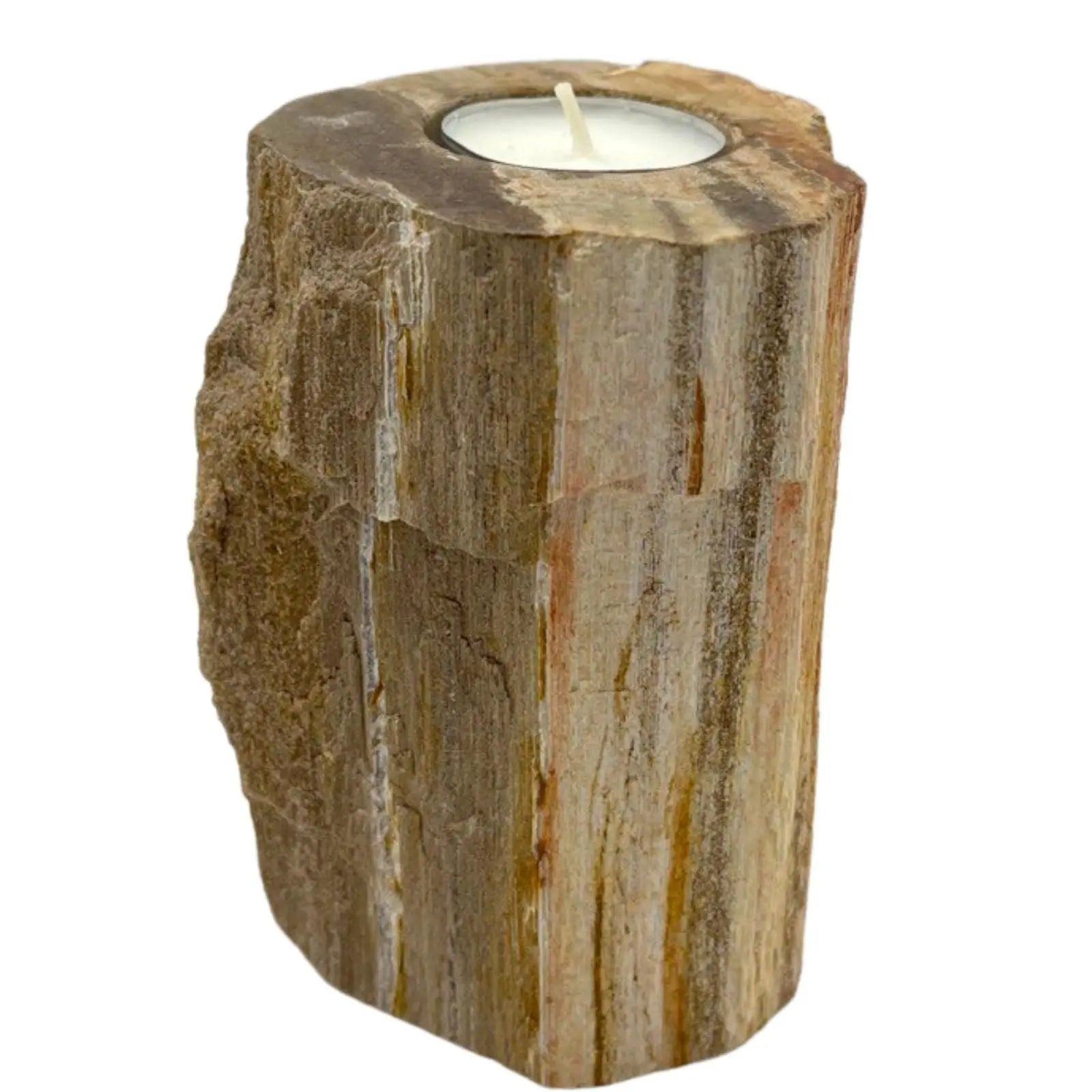  Pamperandpost Petrified Wood Candle Holder - Single Tall Petrified Wood Candle Holder