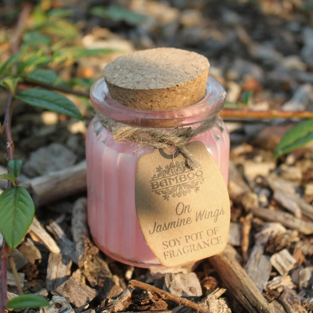 Pamperandpost On Jasmine Wings Soy Pot of Fragrance Candles