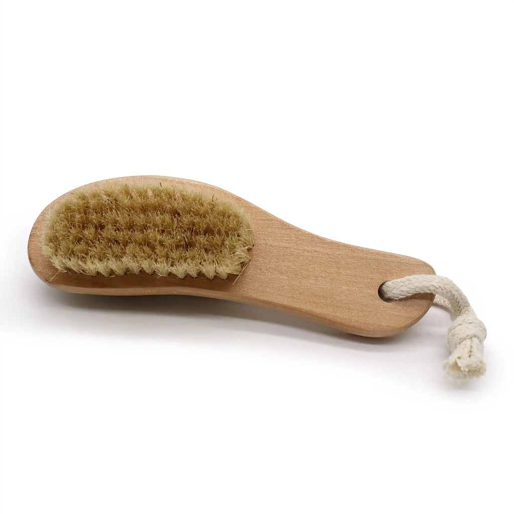  Pamperandpost Pumice Backed Brush Brush Scrub & Scrape