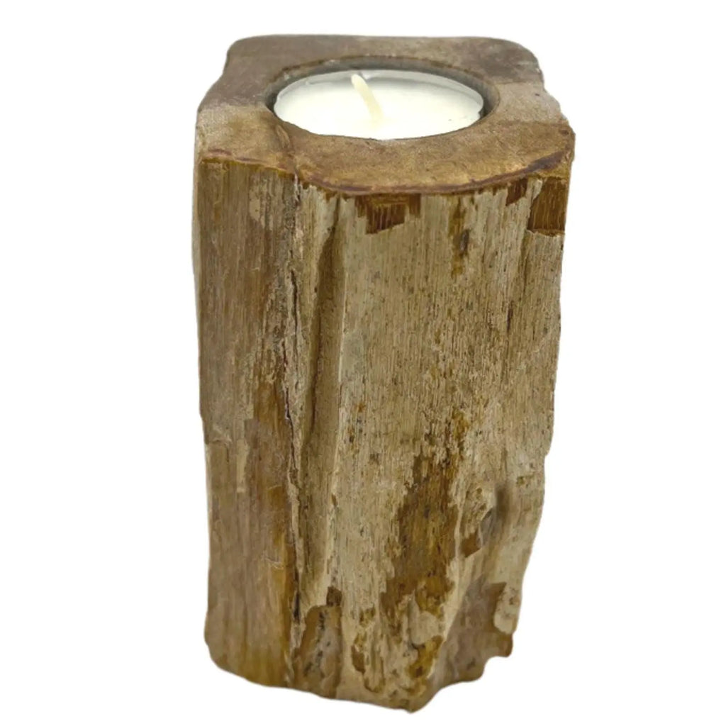  Pamperandpost Petrified Wood Candle Holder - Single Tall Petrified Wood Candle Holder