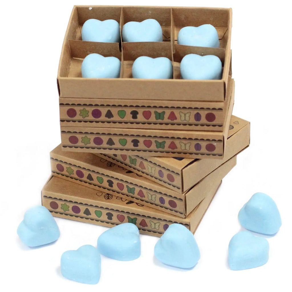 Box of 6 Wax Melts - Dewberry AW Dropship UK