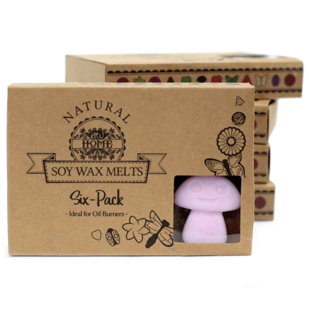 Box of 6  Wax Melts - Ylang Ylang AW Dropship UK