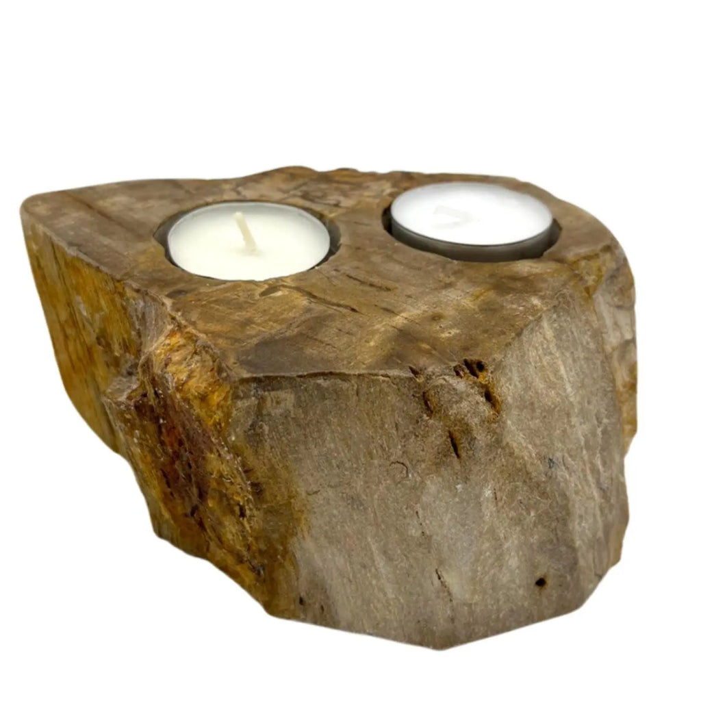 Pamperandpost Petrified Wood Candle Holder - Double