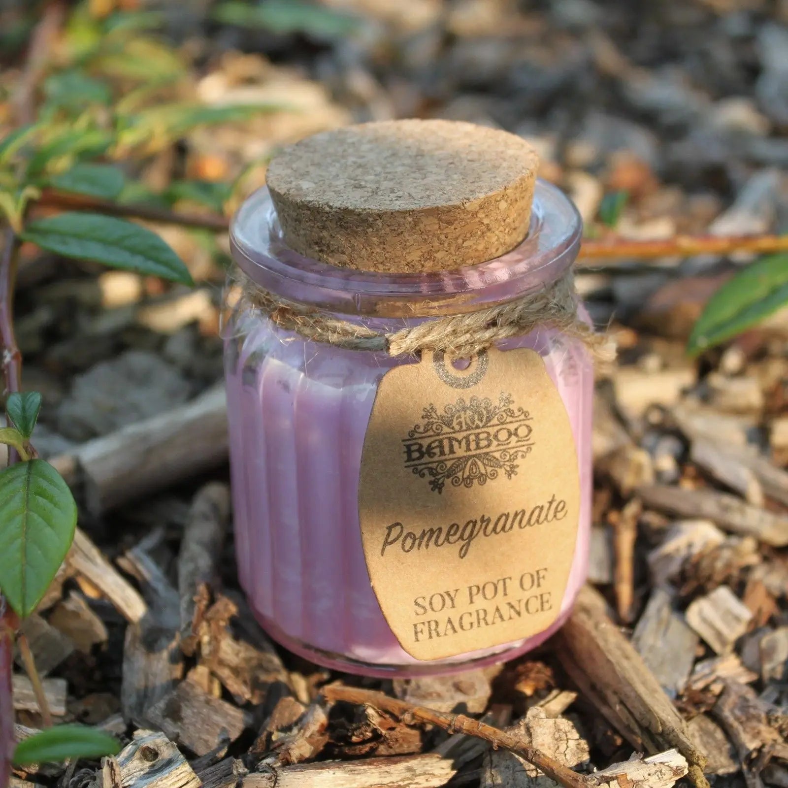 Pamperandpost Pomegranate Soy Pot of Fragrance Candles