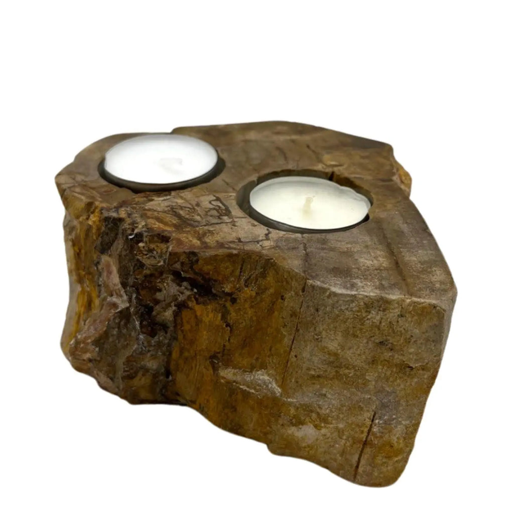  Pamperandpost Petrified Wood Candle Holder - Double Petrified Wood Candle Holder