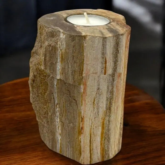  Pamperandpost Petrified Wood Candle Holder - Single Tall Petrified Wood Candle Holder