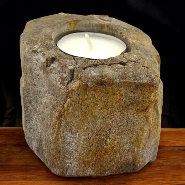  Pamperandpost Petrified Wood Candle Holder - Single Low Petrified Wood Candle Holder