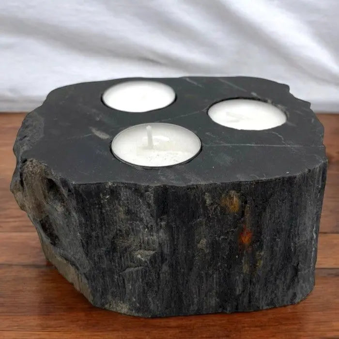  Pamperandpost Petrified Wood Candle Holder - Triple Petrified Wood Candle Holder