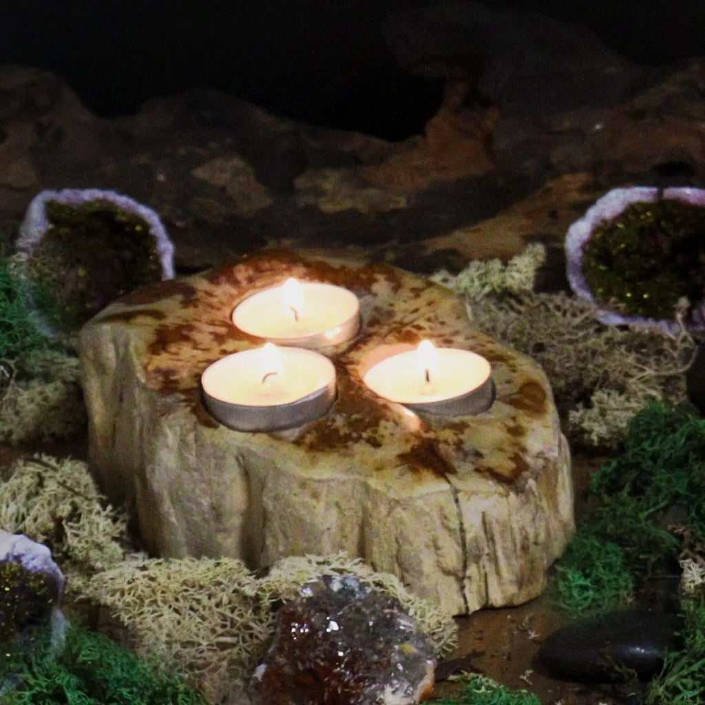 Pamperandpost Petrified Wood Candle Holder - Double
