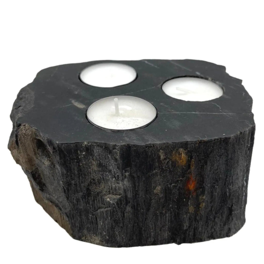  Pamperandpost Petrified Wood Candle Holder - Triple Petrified Wood Candle Holder